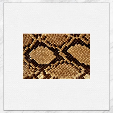 Snake Print Big	Canvas 16  x 16  from ArtsNow.com 15.2 x15.41  Canvas - 1