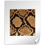 Snake Print Big	Canvas 11  x 14 