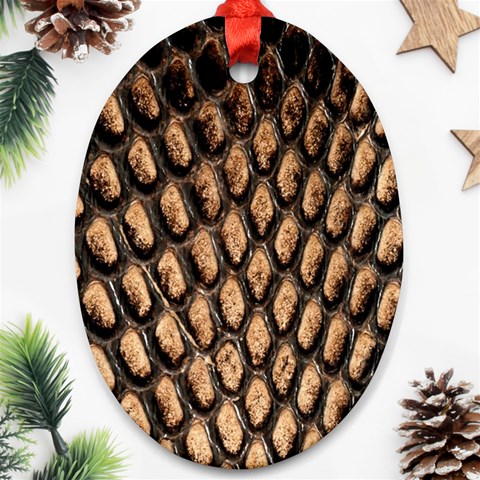 Cobra Print	 Ornament (Oval) from ArtsNow.com Front