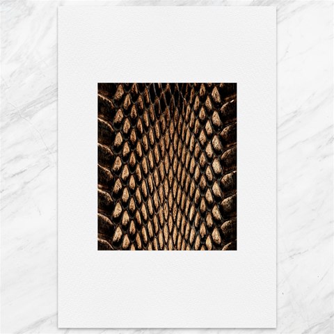 Cobra Print	Canvas 12  x 18  from ArtsNow.com 11.88 x17.36  Canvas - 1
