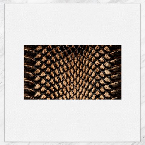 Cobra Print	Canvas 16  x 16  from ArtsNow.com 15.2 x15.41  Canvas - 1