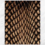 Cobra Print	Canvas 16  x 20 