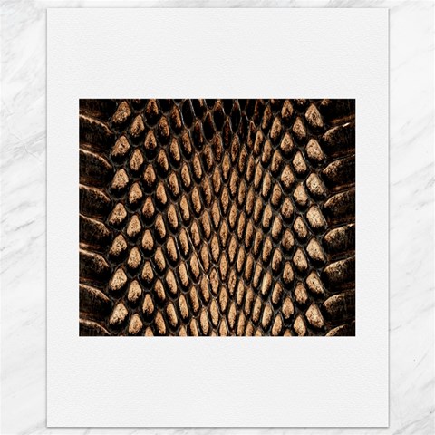 Cobra Print	Canvas 11  x 14  from ArtsNow.com 10.95 x13.48  Canvas - 1