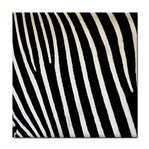 Zebra Print	 Tile Coaster from ArtsNow.com Front