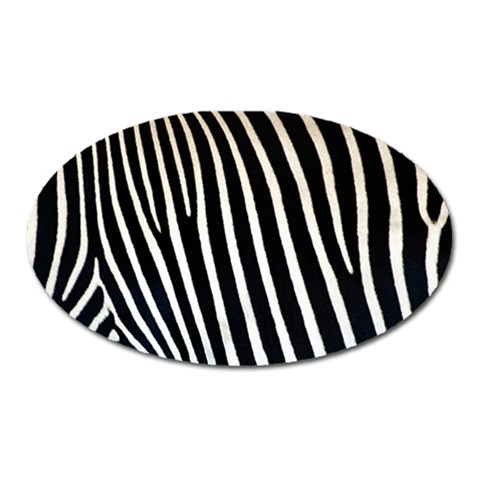 Zebra Print	 Magnet (Oval) from ArtsNow.com Front