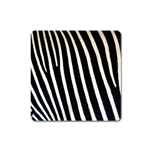 Zebra Print	 Magnet (Square) from ArtsNow.com Front