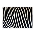 Zebra Print	 Sticker A4 (10 pack)