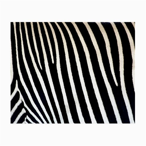 Zebra Print	 Glasses Cloth (Small) from ArtsNow.com Front