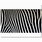 Zebra Print	Prints 8  x 10 