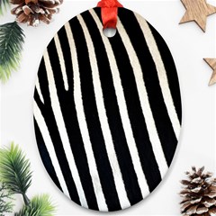 Zebra Print	 Oval Ornament (Two Sides) from ArtsNow.com Front