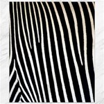 Zebra Print	Canvas 8  x 10 