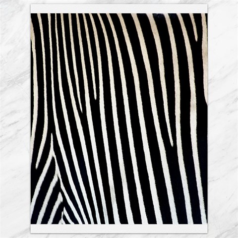 Zebra Print	Canvas 12  x 16  from ArtsNow.com 11.86 x15.41  Canvas - 1