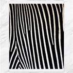 Zebra Print	Canvas 12  x 16 