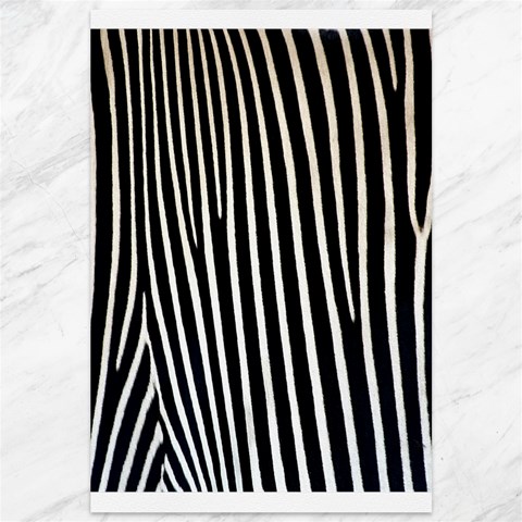 Zebra Print	Canvas 12  x 18  from ArtsNow.com 11.88 x17.36  Canvas - 1