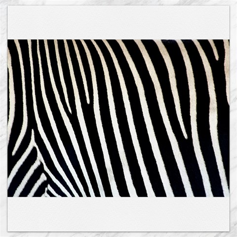 Zebra Print	Canvas 16  x 16  from ArtsNow.com 15.2 x15.41  Canvas - 1