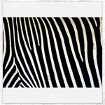 Zebra Print	Canvas 16  x 16 