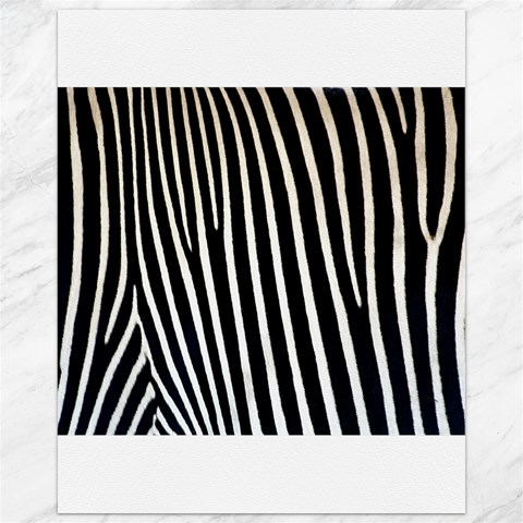 Zebra Print	Canvas 16  x 20  from ArtsNow.com 15.75 x19.29  Canvas - 1