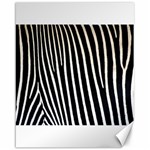 Zebra Print	Canvas 16  x 20 