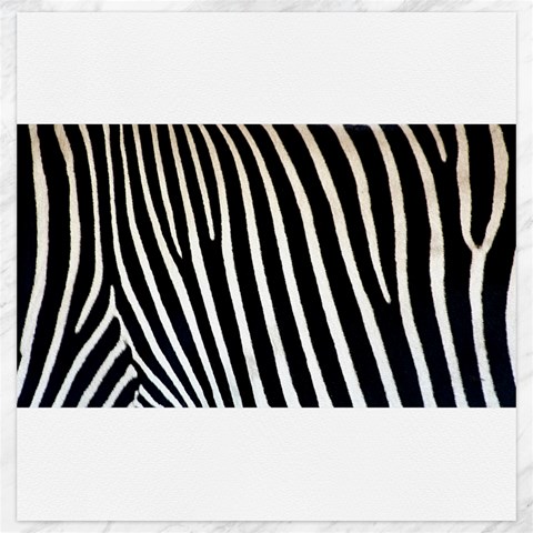 Zebra Print	Canvas 20  x 20  from ArtsNow.com 19 x19.27  Canvas - 1