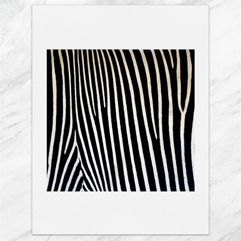 Zebra Print	Canvas 18  x 24  from ArtsNow.com 17.8 x23.08  Canvas - 1