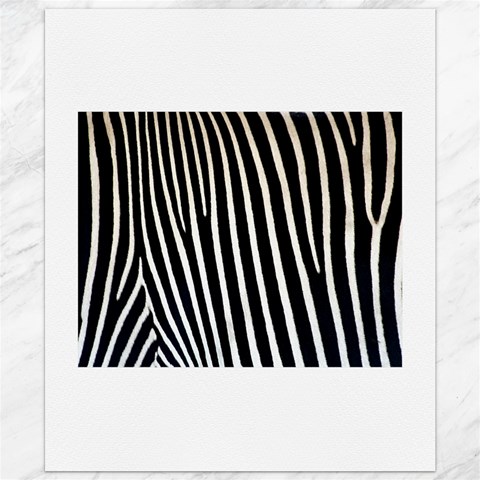 Zebra Print	Canvas 20  x 24  from ArtsNow.com 19.57 x23.15  Canvas - 1