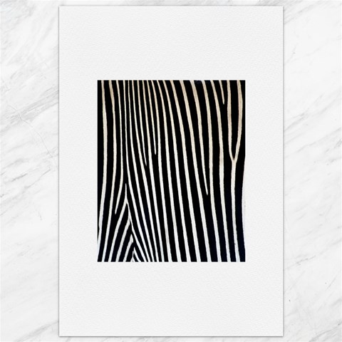 Zebra Print	Canvas 20  x 30  from ArtsNow.com 19.62 x28.9  Canvas - 1