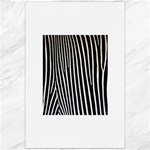 Zebra Print	Canvas 20  x 30 