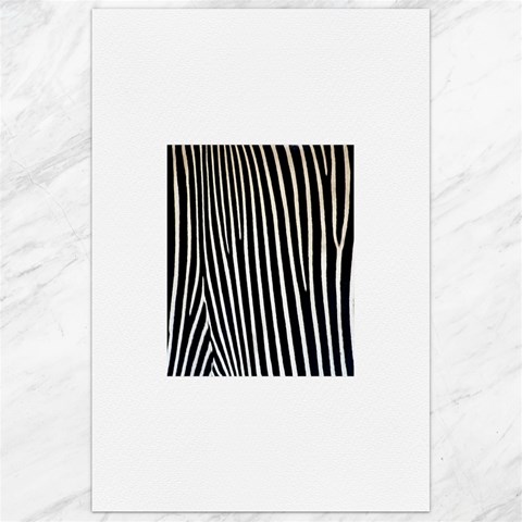 Zebra Print	Canvas 24  x 36  from ArtsNow.com 23.35 x34.74  Canvas - 1