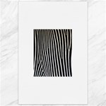 Zebra Print	Canvas 24  x 36 