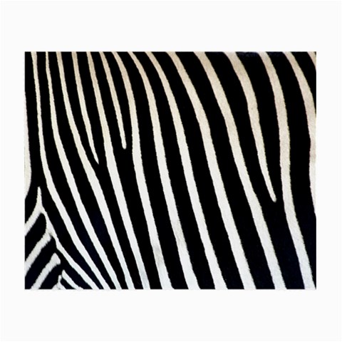 Zebra Print	 Glasses Cloth (Small from ArtsNow.com Front