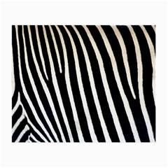 Zebra Print	 Glasses Cloth (Small from ArtsNow.com Back