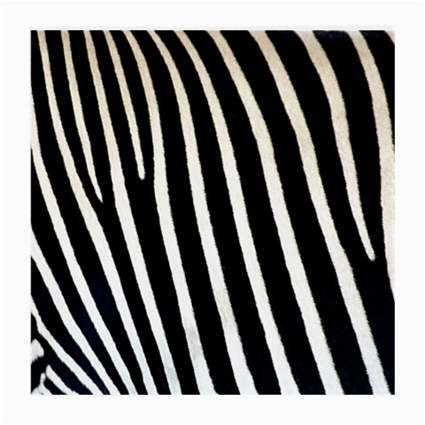 Zebra Print	 Glasses Cloth (Medium from ArtsNow.com Front