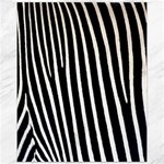 Zebra Print	Canvas 11  x 14 