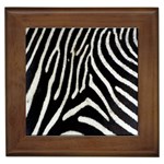 Zebra Print Big	 Framed Tile