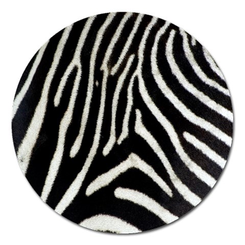 Zebra Print Big	 Magnet 5  (Round) from ArtsNow.com Front