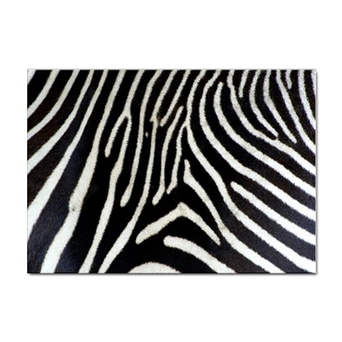 Zebra Print Big	 Sticker A4 (100 pack) from ArtsNow.com Front