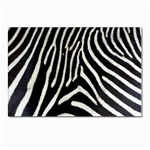 Zebra Print Big	 Postcard 4 x 6  (Pkg of 10)