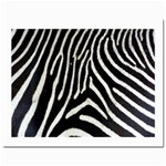 Zebra Print Big	Prints 8  x 10 