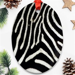 Zebra Print Big	 Oval Ornament (Two Sides) from ArtsNow.com Front