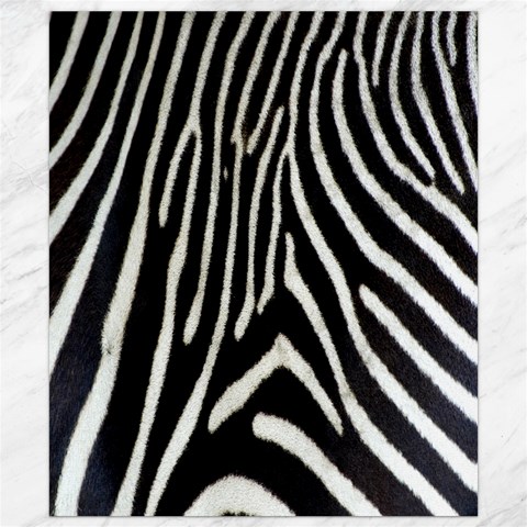 Zebra Print Big	Canvas 8  x 10  from ArtsNow.com 8.15 x9.66  Canvas - 1
