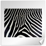 Zebra Print Big	Canvas 20  x 20 