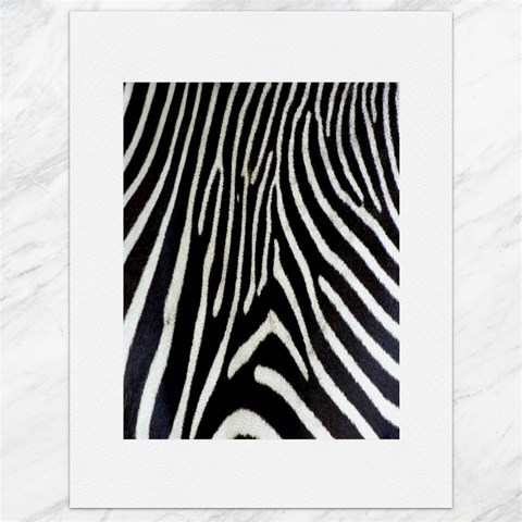 Zebra Print Big	Canvas 18  x 24  from ArtsNow.com 17.8 x23.08  Canvas - 1