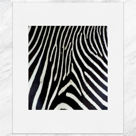 Zebra Print Big	Canvas 20  x 24  from ArtsNow.com 19.57 x23.15  Canvas - 1