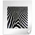 Zebra Print Big	Canvas 20  x 24 