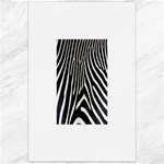 Zebra Print Big	Canvas 24  x 36 