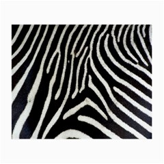 Zebra Print Big	 Glasses Cloth (Small from ArtsNow.com Front