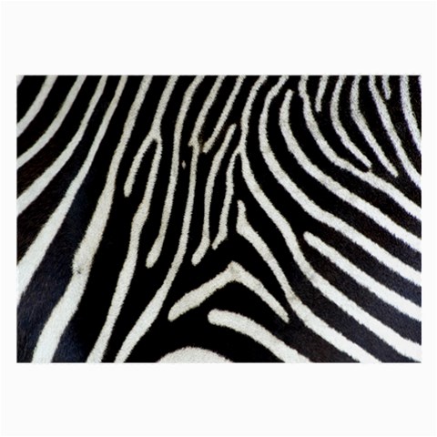 Zebra Print Big	 Glasses Cloth (Large from ArtsNow.com Front