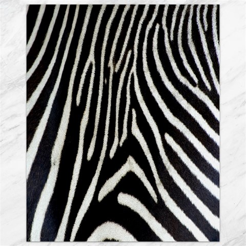 Zebra Print Big	Canvas 11  x 14  from ArtsNow.com 10.95 x13.48  Canvas - 1