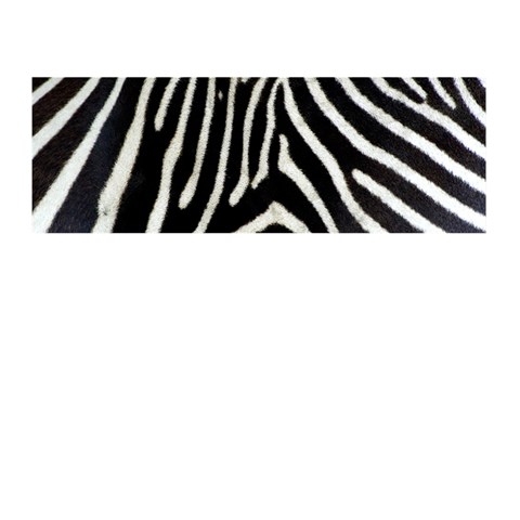 Zebra Print Big	Memory Card Reader (Stick) from ArtsNow.com Front