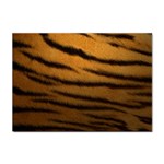 Tiger Print Dark	 Sticker A4 (10 pack)